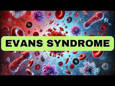 Evans Syndrome Explained: Causes, Symptoms, Diagnosis, and Treatment