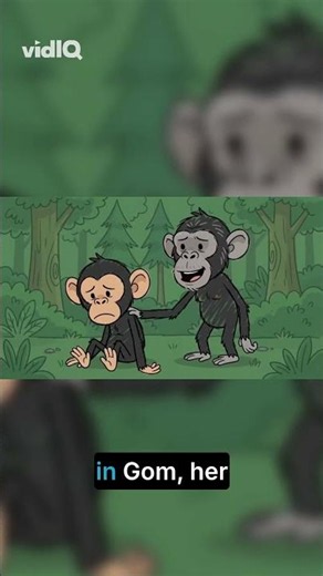 Chimpanzee Grief: A Lesson in Human Emotion