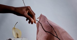 Video by Ron Lach  on Pexels