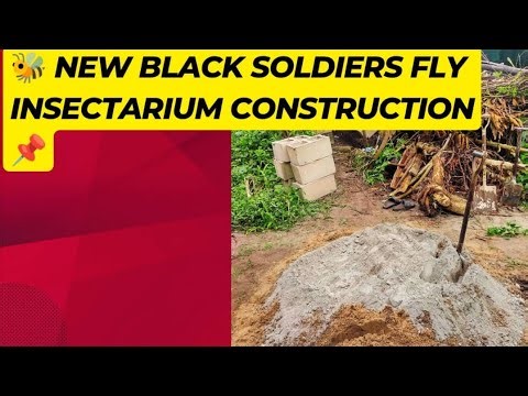 We are live with Part 2B of our Black Soldier Fly (BSF) Insectarium construction project! 🚀