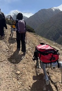 351K views · 5.7K reactions | 料Can Chinese robot dogs evolve to be mountain-climbing guides? 輪 Don't worry about them running out of power. There are plenty of spare batteries. #China #Tech #Mountain #Climbing #Robot #Dog | iChongqing | Facebook