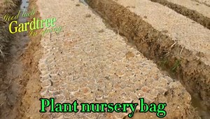 gardtree 400PCS Small Plant Nursery Bags 3.1x3.9 Inch, Biodegradable Non-Woven Seedling Bags, Breathable & Sturdy Grow Bags for Succulents Vegetables, Easy Transplant, Space-Saving for Home Garden