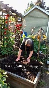 Bonnie's Garden Diary - cucamelon