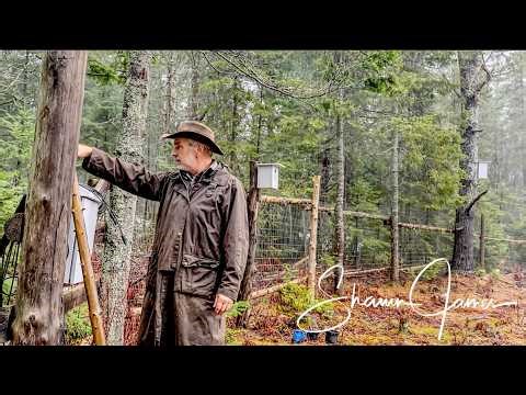 My Off Grid Solar Power System Stopped Working - Here's Why and How I'm Fixing it