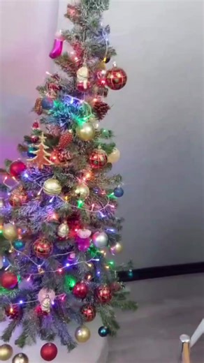 mb.madi (@bahamadi2) adlı kullanıcının оригинальный звук - Bahram_drummer ile oluşturduğu videoları