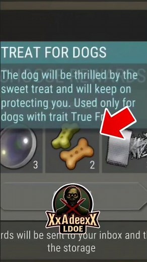 BEST CHOICE?! 🤔 Lens vs Treats vs Fiberglass | LDoE S84