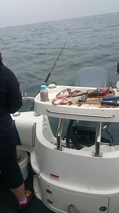 Sneaky sunday crap weather video... Join Jords when she landed her big gumbo the other week. Missed the big runs at the start End of the week looks much better 👍👍👍👍 | Reds Fishing - Aaron Habgood