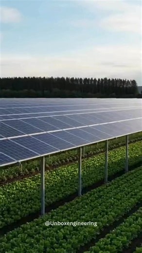 In Germany, farmers are installing solar panels above crops, allowing land to produce food and electricity at the same time. This method is known as agrivoltaics. Key Facts: • Solar panels installed above farmland • Crops grow normally underneath • Generates renewable electricity • Reduces heat stress on plants • Lowers water evaporation • Improves land-use efficiency • No reduction in farmland availability Why It Matters: Agrivoltaics solves the land conflict between food and energy, proving th