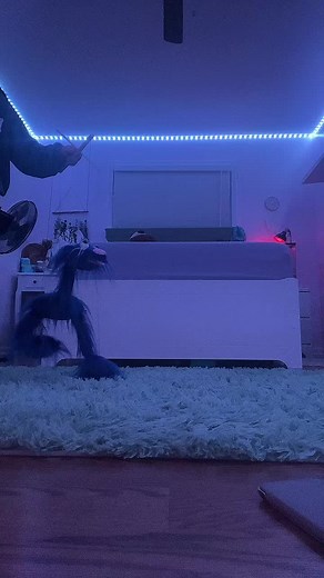 #fyp #fy #4u #bird #goofy #goofyahh #funny #lol #goofyahhbirdpuppet #noodle #puppet #stringpuppet #stringpuppets #fypシ #シ #fypage #xyzbca #blowthisup