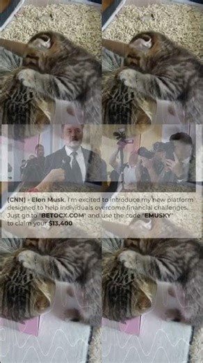 🤣 FUNNIEST Pet Bloopers Dog and Cat Videos 2470s