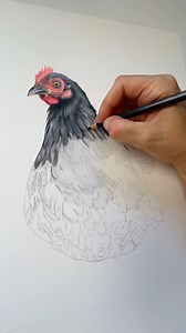 48 reactions · 8 comments | Calendar characters loading ⏳…I thought Ronnie the Kune Kune pig was going to be a firm favourite…but I think I’m going to fall in love with them all! 珞✏️ Pre order now through my website! #katesprattart #calendar #farmyard #farmyardanimals #chicken #happychickens #hen #chickens #chickenlove #chickenlover #chickenlife #chickenart #chickendrawing | Kate Spratt Equine Art | Facebook