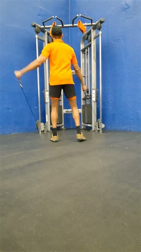 Cable Squat & Alternating Diagonal Up Chop #shorts #core #legs #shoulder #cable