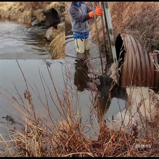 Unclogging A Large Beaver Rack | Post 10