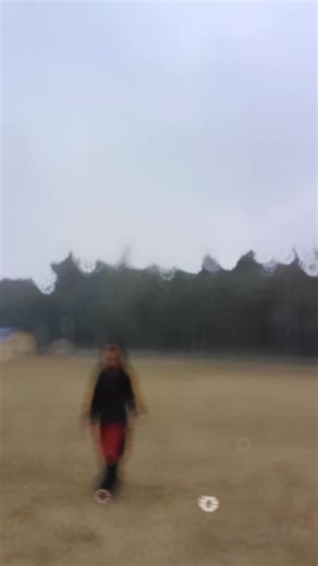 Custom Mobile Wallpapers Using Your Own Photos