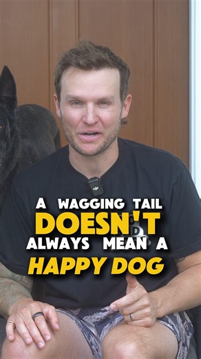 A WAGGING TAIL DOESN’T ALWAYS MEAN A HAPPY DOG