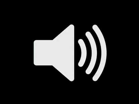 Bitch Wtf Sound Effect