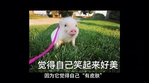 【sfghj发广告】第一支视频求三连！