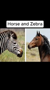 It's a think of Thought #unusual #facts #knowledge #history #information #fblifestyle | Berooox