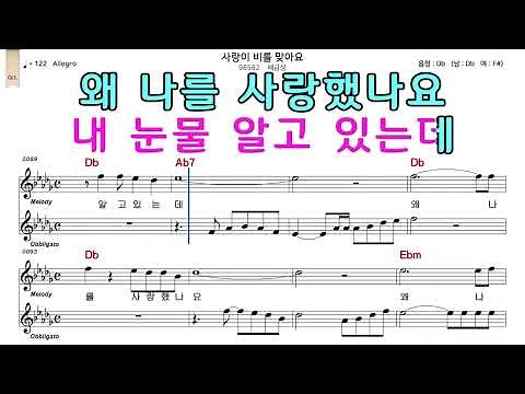 사랑이 비를 맞아요 배금성 악보와노래