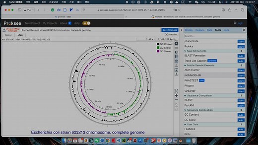 使用proksee网站绘制基因组圈图