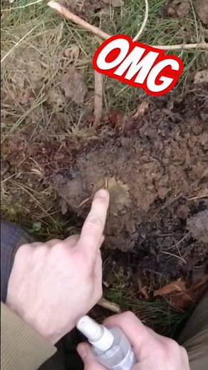 Fundeskalation! nicht zu fassen .... #metaldetecting #sondeln #olympia #ww2