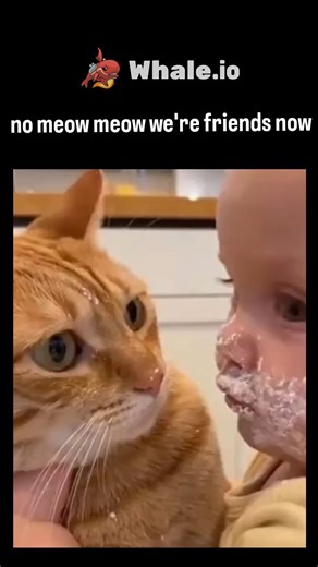 explainingproduction on Instagram: "The X post by @lizmoneyweb is a heartfelt reply to a viral video featuring a baby covered in foam playfully interacting with an orange cat, which licks the baby's face while being gently held, showcasing their instant bond. In the reply, "no meow meow we're friends now im melting," the author captures the video's wholesome charm, rejecting typical cat aloofness in favor of affectionate friendship, evoking a strong emotional response. This interaction highlight