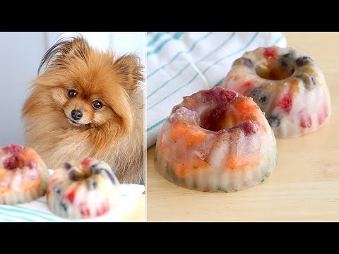 Homemade FROZEN Dog Treats Recipe! Summer Treats to Cool off Your Puppy!
