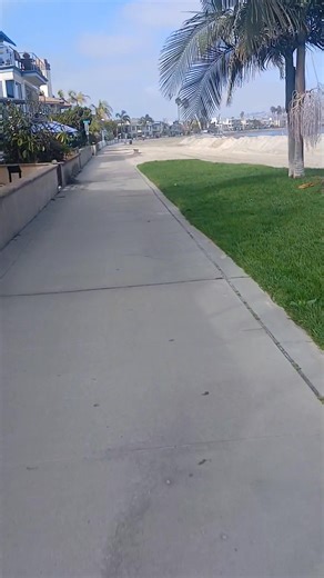 Sand Berm on Mission Bay to protect the homes from King Tide. | Frank Ramirez