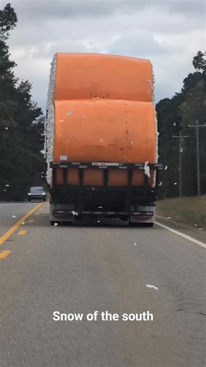 The snow of the south is flurrying away over here 🤣 . #snow #alabamasnow #snowofthesouth #fblifestyle #cotton | Alicia Tilley