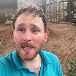 📸🐘VLOG: THE SECRET LIFE OF AN ELEPHANT ZOOKEEPER 🐘📸 Take a trip behind-the-scenes with zookeeper James and see what it takes to care for a family herd of endangered Asian elephants... 📣Turn your sound on and enjoy! 📣 | Chester Zoo