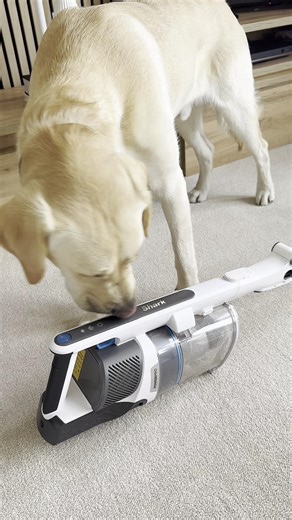 The Big Save is here, with up to 50% off big name brands ✨🛍️ Shop The Big Save now 👉 https://ow.ly/vTAS50Wme4L 📷: @lous_home_ | freemans