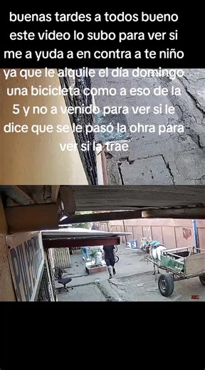 Videos de Hector Vega (@hector.vega255) con “sonido original - Hector Vega”