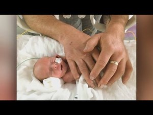 Auckland scientists awarded nearly $1m for world-first virtual pregnancy project