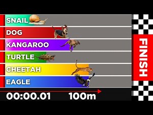 Race Simulation: Animal Olympics