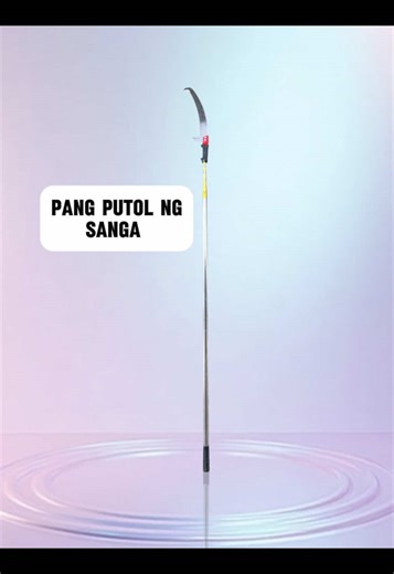 Using a High Branch Saw for Wood Cutting