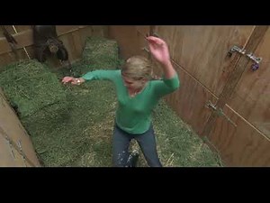 tf mermaid transformation 2