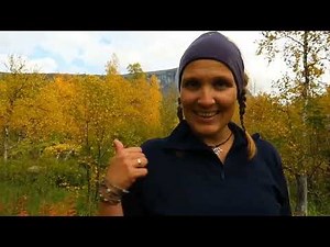 Meeting wild bear and big moose in Rapa Valley, Sarek National Park, Swedish Lapland.