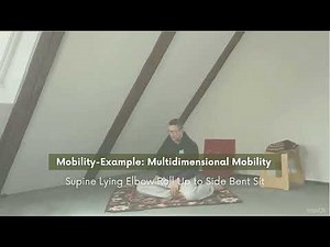 Spine 101: Mobility · Stability · Pattern