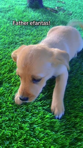 Discover the Insights of Intuitive Empaths