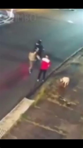 Dog save Boy from Robbers! 🤩 #shorts #randommuqeet #animalshorts