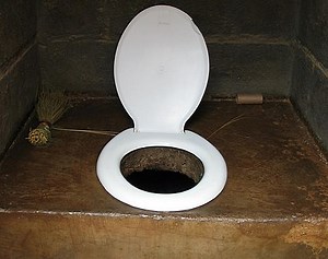 Government provides rural villages with decent toilets