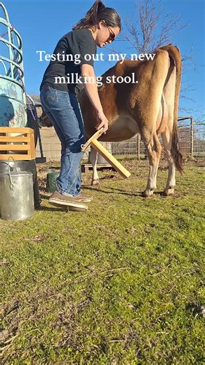 Innovative DIY Milking Stool Design Ideas