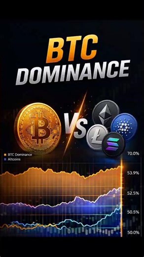 Why Altcoins Crash Harder Than Bitcoin