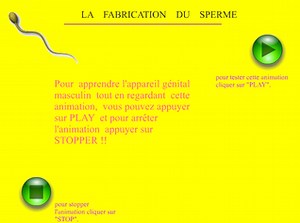 Chapitre 1: Les transformations à la puberté