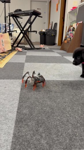 Benjamin Newell on Reels