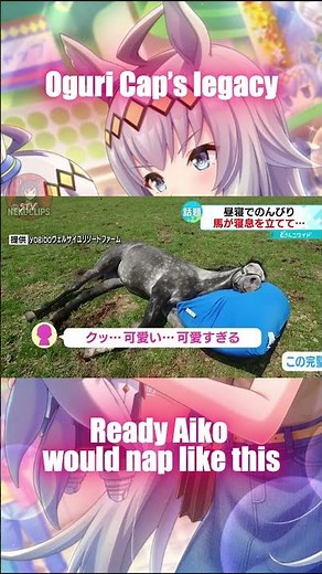 Ready Aiko: Sleeping Beauty of Oguri Cap’s Lineage #umamusume