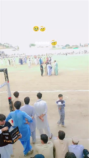 Exploring the Significance of Marjan in Cultural Contexts