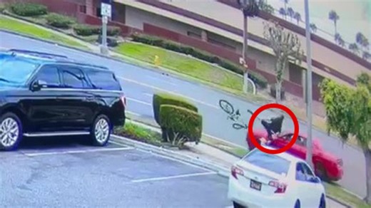 Fullerton bicyclist sent flying after wrong-way crash