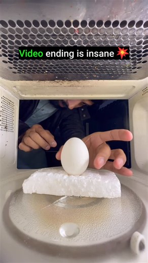 Microwave Heat on Instagram: "Egg in the microwave experiment #experiment #science #microwave #foryou"