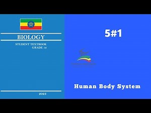 Ethiopian Grade 12 Biology 5#1 Human Body System